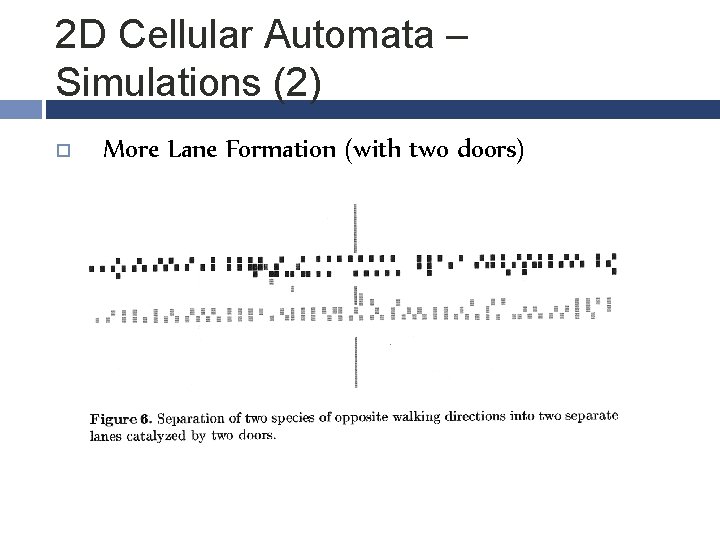 2 D Cellular Automata – Simulations (2) More Lane Formation (with two doors) 
