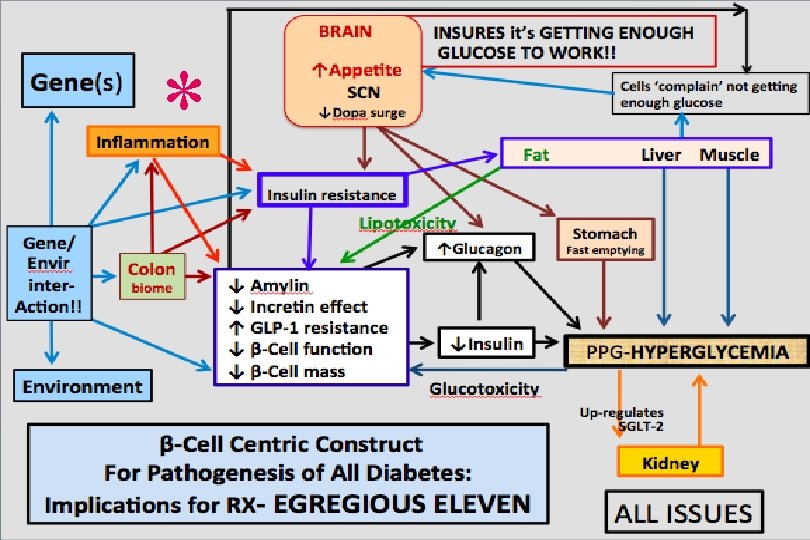 Gene(s) INSURES its GETTING BRAINAppetite ENOUGH GLUCOSE TO WORK!! * cells ‘complain’ not getting