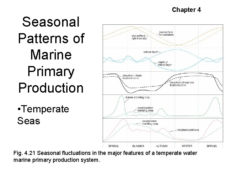 Chapter 4 Seasonal Patterns of Marine Primary Production • Temperate Seas Fig. 4. 21