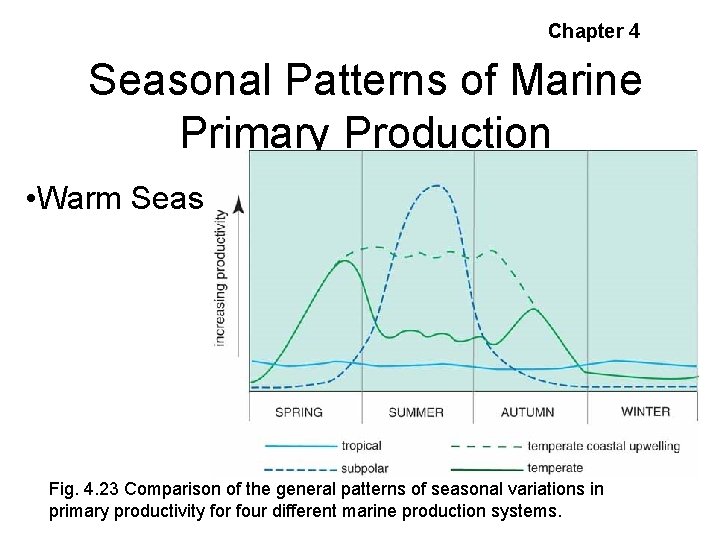 Chapter 4 Seasonal Patterns of Marine Primary Production • Warm Seas Fig. 4. 23