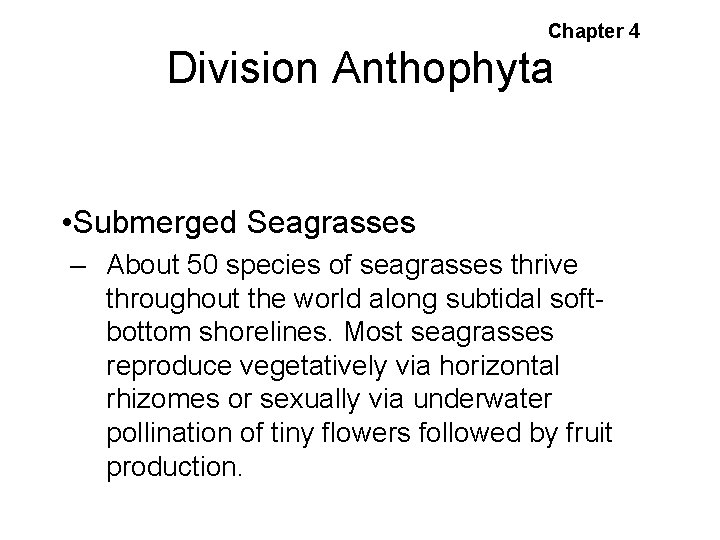 Chapter 4 Division Anthophyta • Submerged Seagrasses – About 50 species of seagrasses thrive