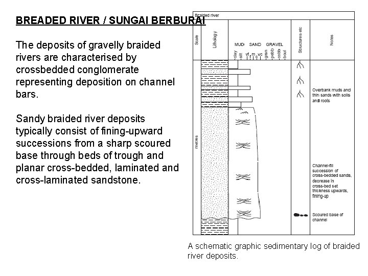 BREADED RIVER / SUNGAI BERBURAI The deposits of gravelly braided rivers are characterised by