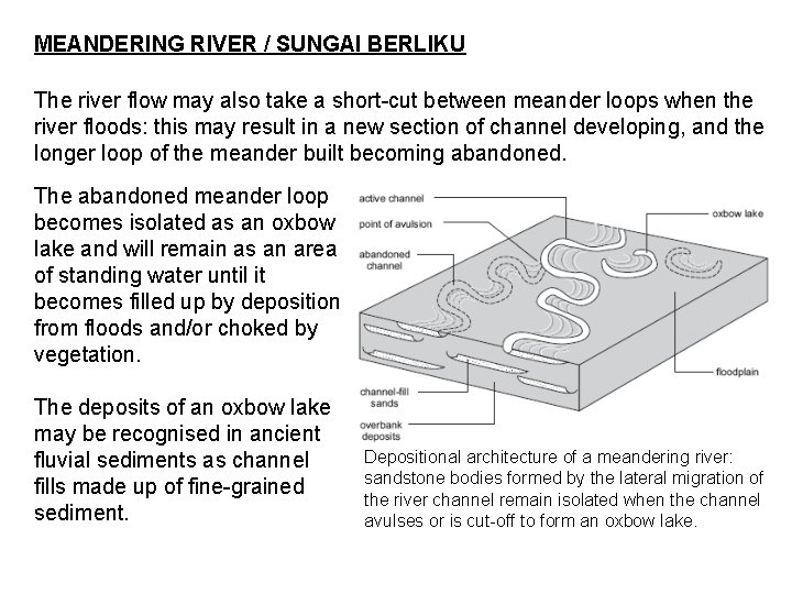 MEANDERING RIVER / SUNGAI BERLIKU The river flow may also take a short-cut between