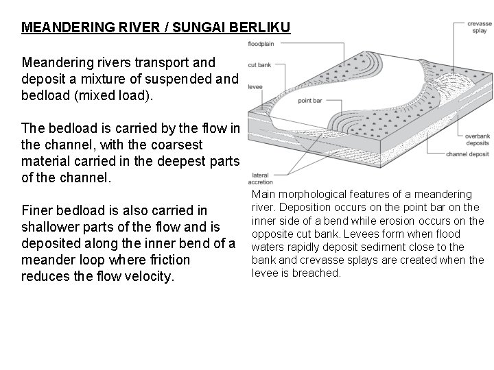 MEANDERING RIVER / SUNGAI BERLIKU Meandering rivers transport and deposit a mixture of suspended