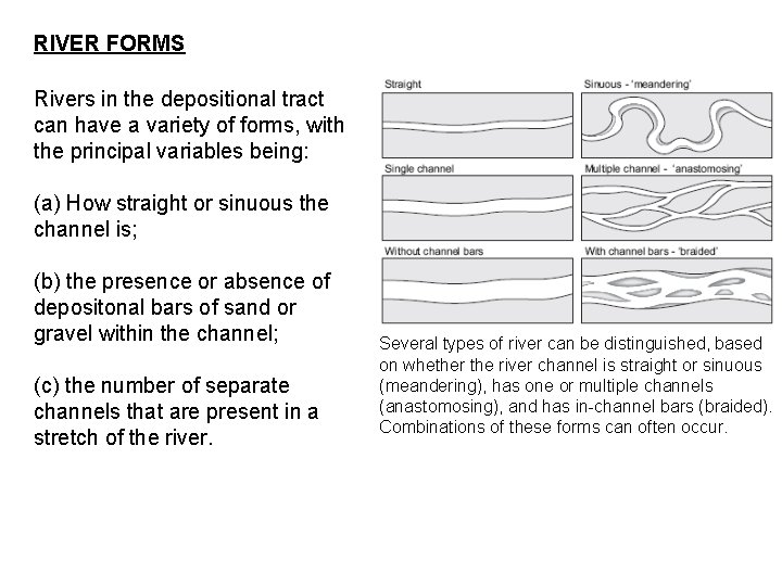 RIVER FORMS Rivers in the depositional tract can have a variety of forms, with