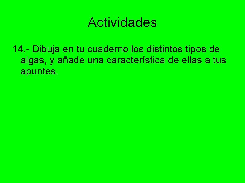 Actividades 14. - Dibuja en tu cuaderno los distintos tipos de algas, y añade