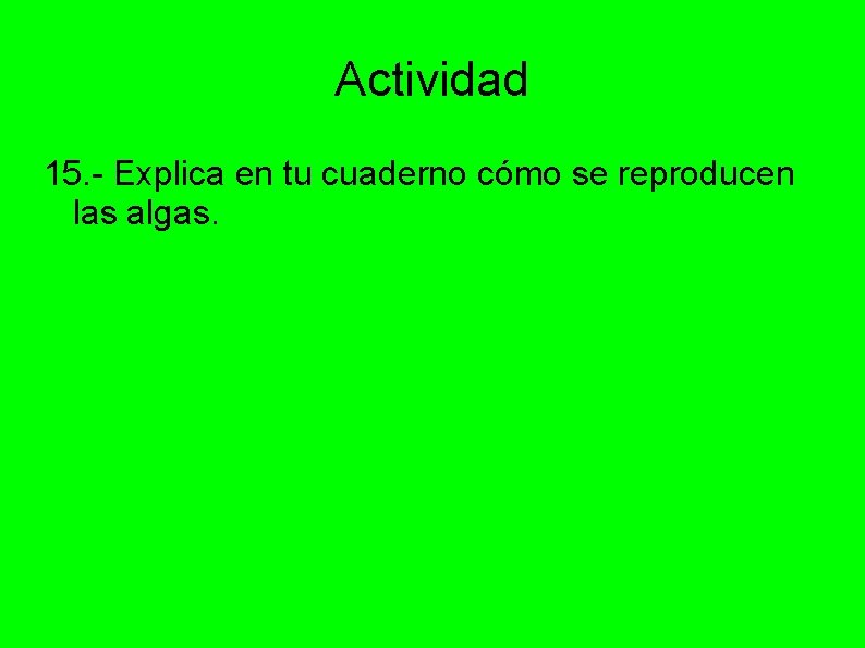Actividad 15. - Explica en tu cuaderno cómo se reproducen las algas. 