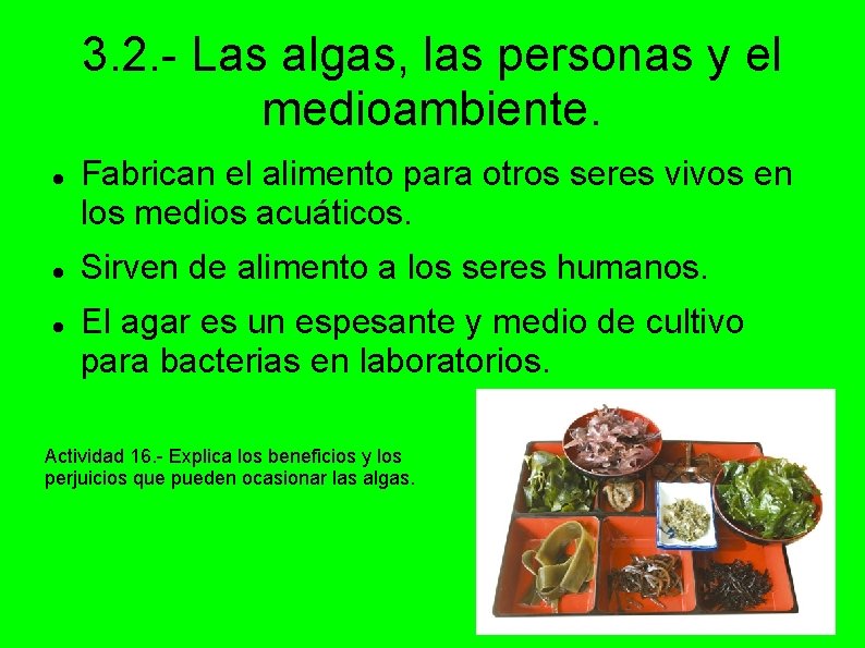 3. 2. - Las algas, las personas y el medioambiente. Fabrican el alimento para