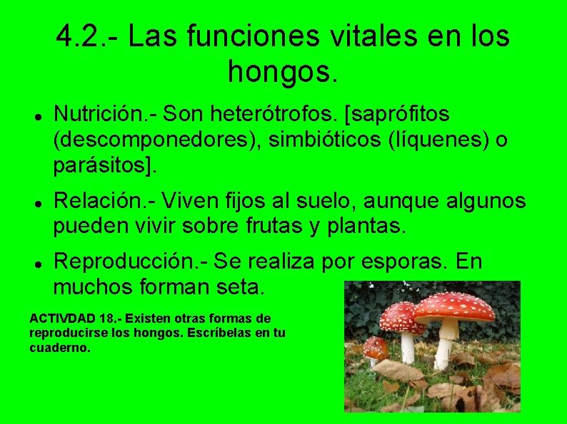 4. 2. - Las funciones vitales en los hongos. Nutrición. - Son heterótrofos. [saprófitos