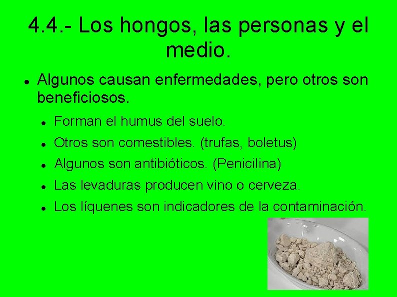 4. 4. - Los hongos, las personas y el medio. Algunos causan enfermedades, pero