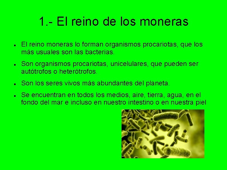 1. - El reino de los moneras El reino moneras lo forman organismos procariotas,