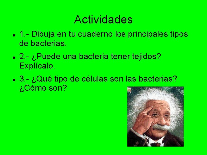 Actividades 1. - Dibuja en tu cuaderno los principales tipos de bacterias. 2. -