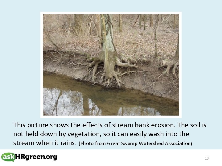 This picture shows the effects of stream bank erosion. The soil is not held