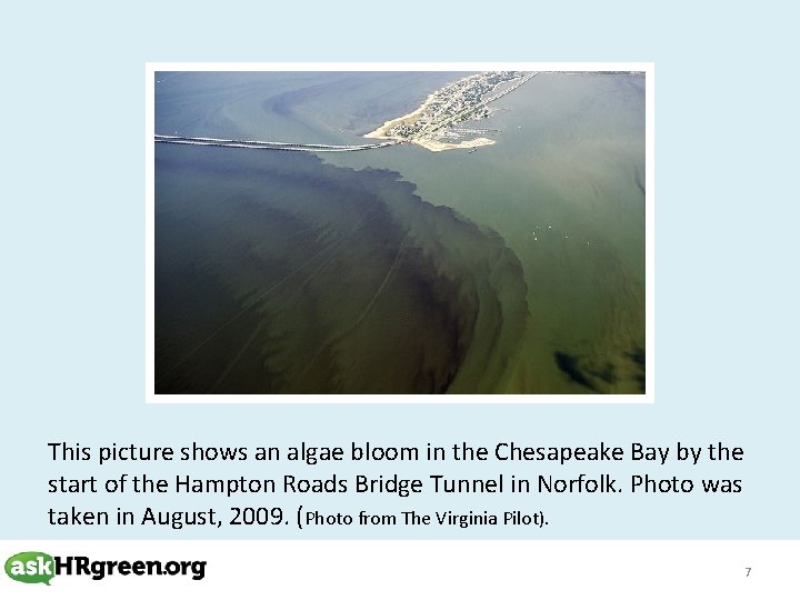 This picture shows an algae bloom in the Chesapeake Bay by the start of