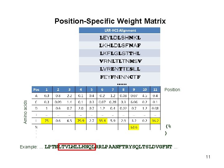 Position-Specific Weight Matrix Amino acids Position (% ) Example: … LPTNLTVLMLLHNQLRRLPAANFTRYSQLTSLDVGFNT … 11 