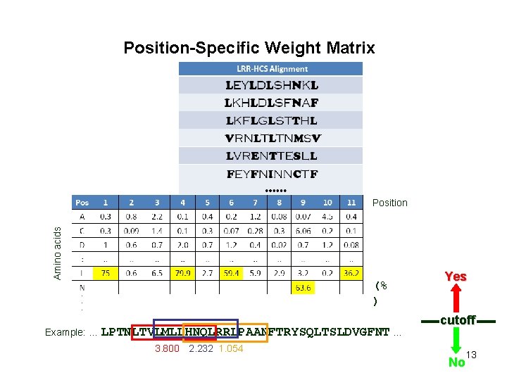 Position-Specific Weight Matrix Amino acids Position (% ) Example: … LPTNLTVLMLLHNQLRRLPAANFTRYSQLTSLDVGFNT … 3. 800