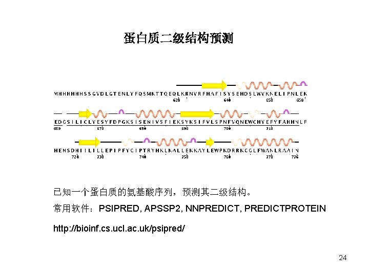 蛋白质二级结构预测 已知一个蛋白质的氨基酸序列，预测其二级结构。 常用软件：PSIPRED, APSSP 2, NNPREDICT, PREDICTPROTEIN http: //bioinf. cs. ucl. ac. uk/psipred/ 24