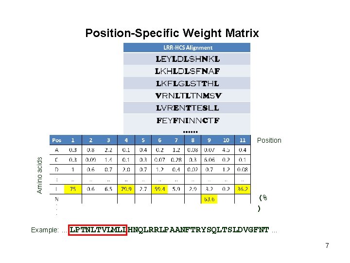 Position-Specific Weight Matrix Amino acids Position (% ) Example: … LPTNLTVLMLLHNQLRRLPAANFTRYSQLTSLDVGFNT … 7 