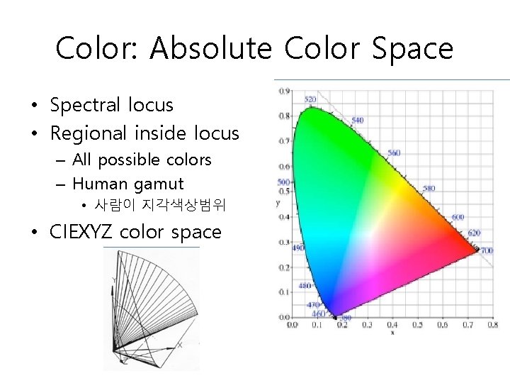 Color: Absolute Color Space • Spectral locus • Regional inside locus – All possible