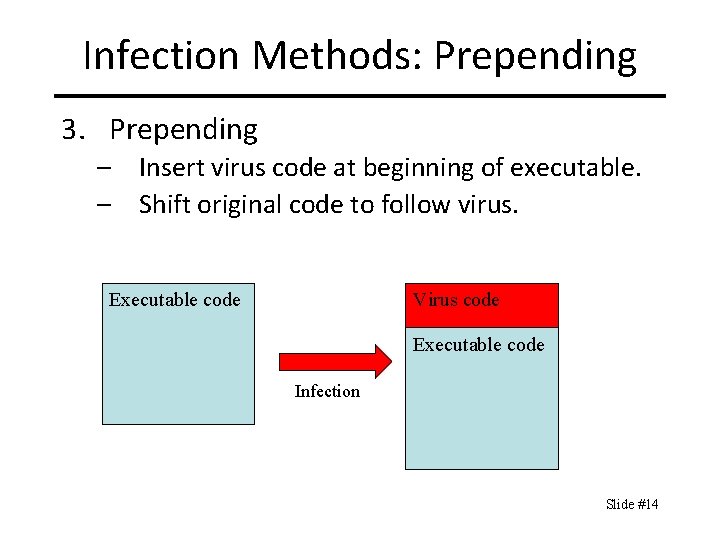 Infection Methods: Prepending 3. Prepending – Insert virus code at beginning of executable. –