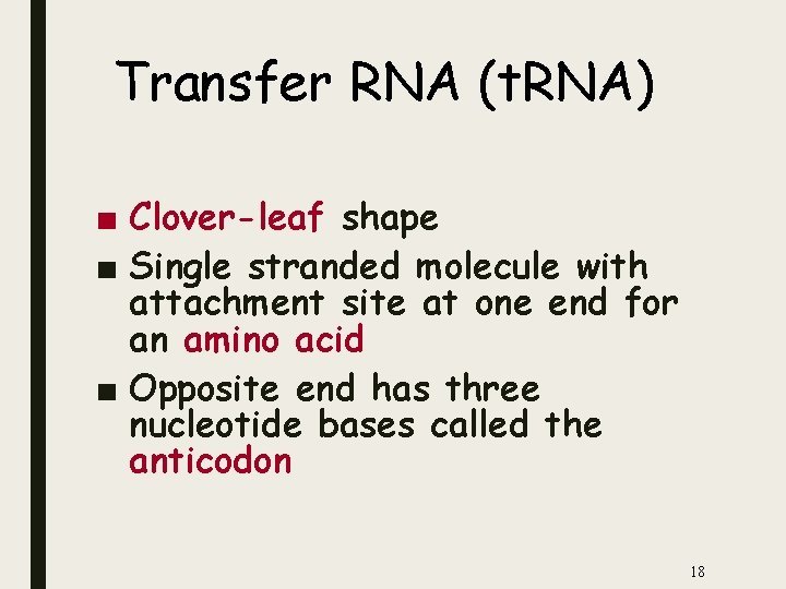 Transfer RNA (t. RNA) ■ Clover-leaf shape ■ Single stranded molecule with attachment site