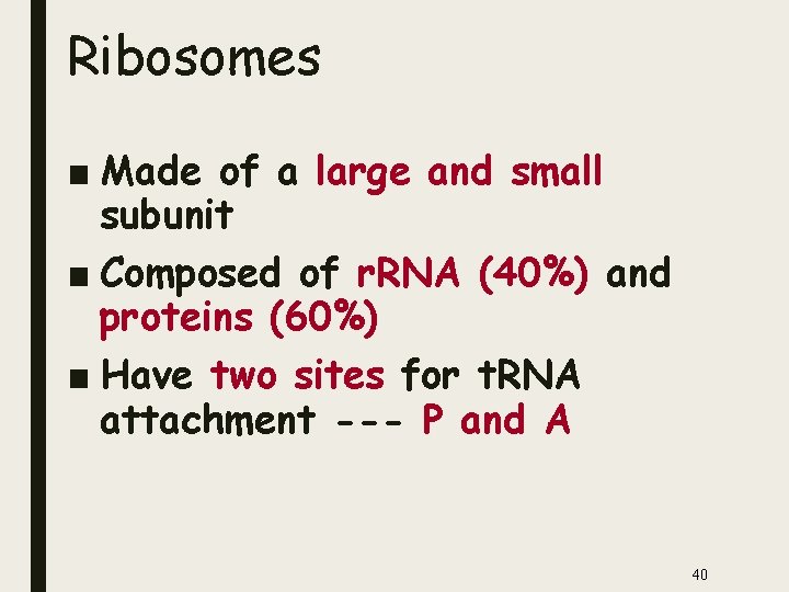 Ribosomes ■ Made of a large and small subunit ■ Composed of r. RNA