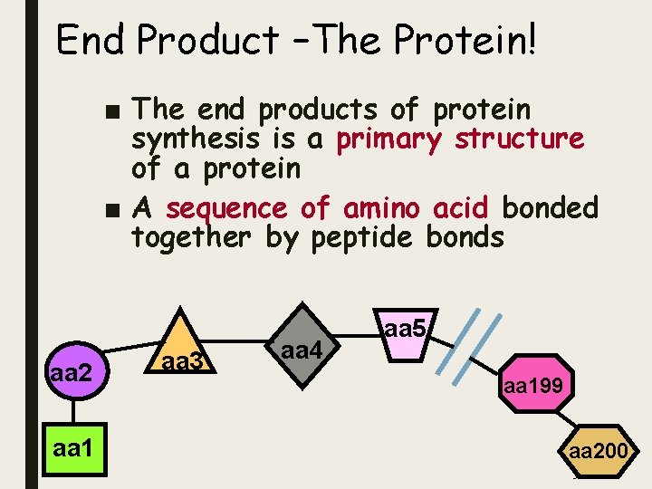 End Product –The Protein! ■ The end products of protein synthesis is a primary