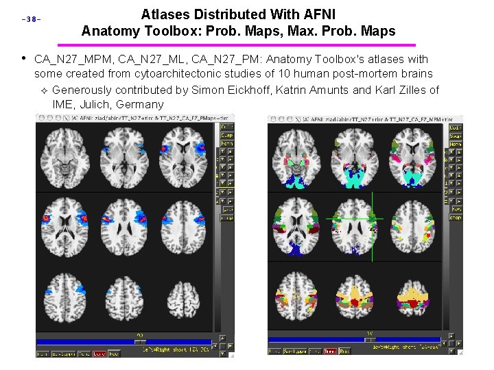 -38 - Atlases Distributed With AFNI Anatomy Toolbox: Prob. Maps, Max. Prob. Maps •