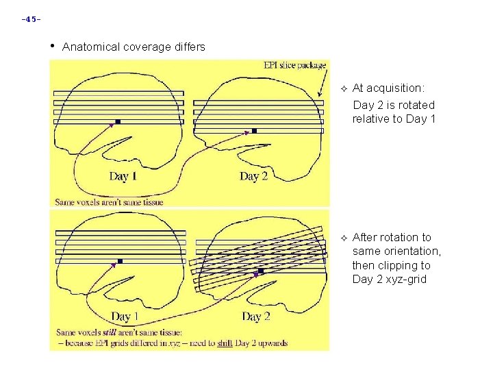 -45 - • Anatomical coverage differs At acquisition: Day 2 is rotated relative to