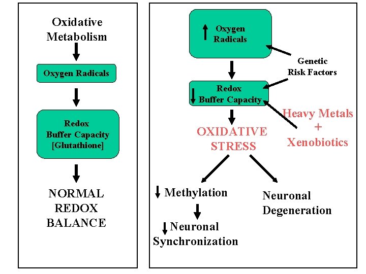 Oxidative Metabolism Oxygen Radicals Genetic Risk Factors Oxygen Radicals Redox Buffer Capacity [Glutathione] NORMAL