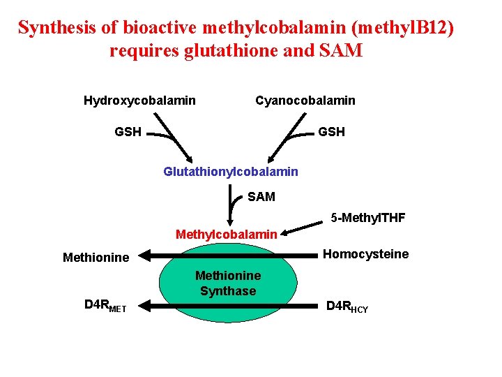 Synthesis of bioactive methylcobalamin (methyl. B 12) requires glutathione and SAM Hydroxycobalamin Cyanocobalamin GSH