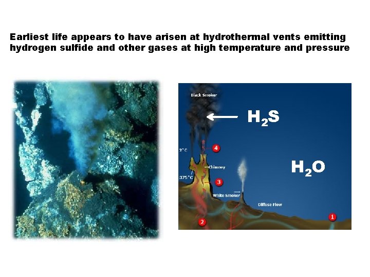 Earliest life appears to have arisen at hydrothermal vents emitting hydrogen sulfide and other