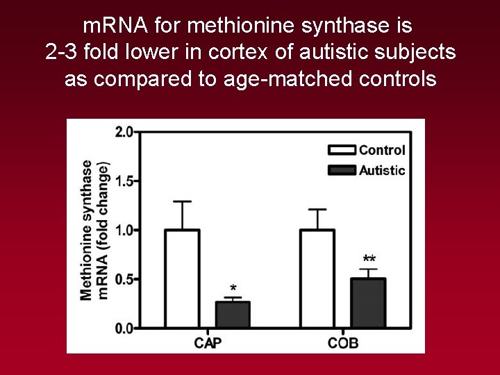 m. RNA for methionine synthase is 2 -3 fold lower in cortex of autistic