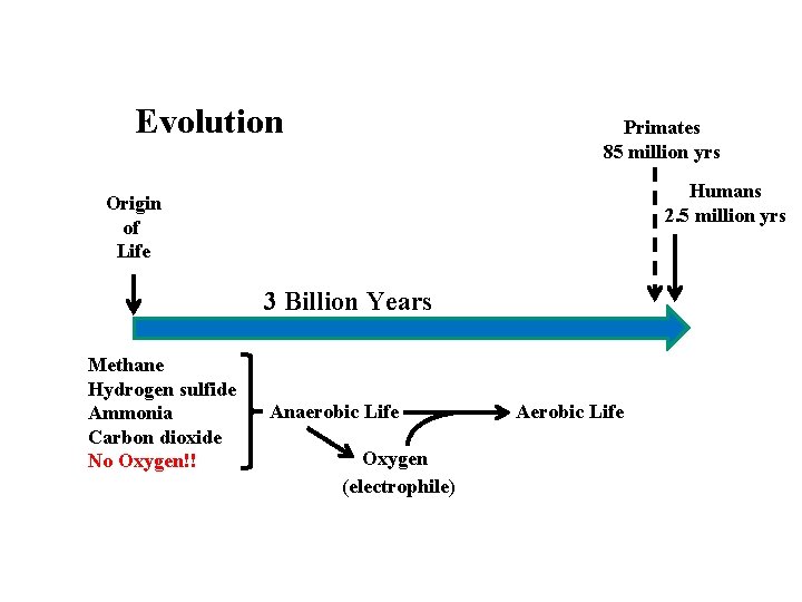 Evolution Primates 85 million yrs Humans 2. 5 million yrs Origin of Life 3 Evolution Primates 85 million yrs Humans 2. 5 million yrs Origin of Life 3