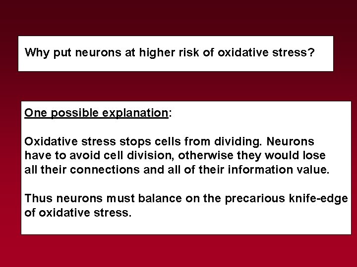 Why put neurons at higher risk of oxidative stress? One possible explanation: Oxidative stress