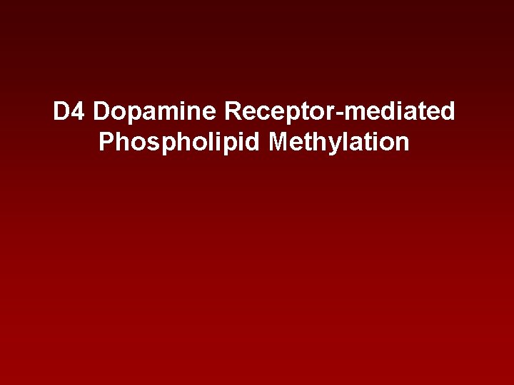 D 4 Dopamine Receptor-mediated Phospholipid Methylation D 4 Dopamine Receptor-mediated Phospholipid Methylation