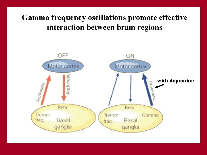 Gamma frequency oscillations promote effective interaction between brain regions with dopamine 