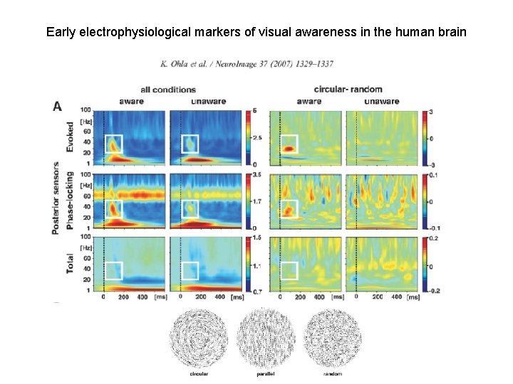 Early electrophysiological markers of visual awareness in the human brain 