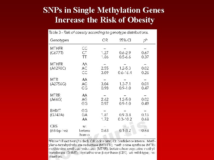 SNPs in Single Methylation Genes Increase the Risk of Obesity 