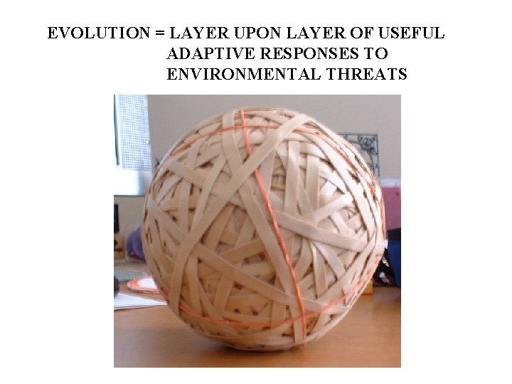 EVOLUTION = LAYER UPON LAYER OF USEFUL ADAPTIVE RESPONSES TO ENVIRONMENTAL THREATS 