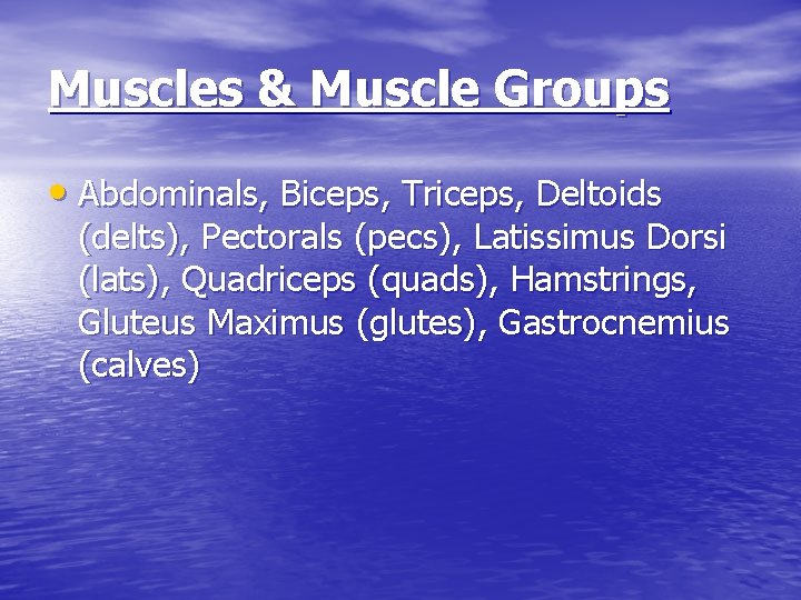 Muscles & Muscle Groups • Abdominals, Biceps, Triceps, Deltoids (delts), Pectorals (pecs), Latissimus Dorsi