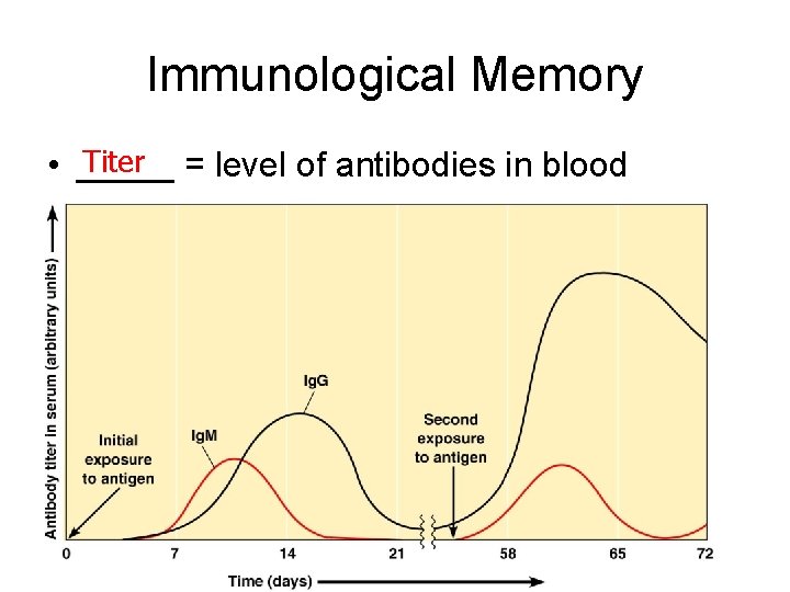 Immunological Memory Titer = level of antibodies in blood • _____ • Figure 17.