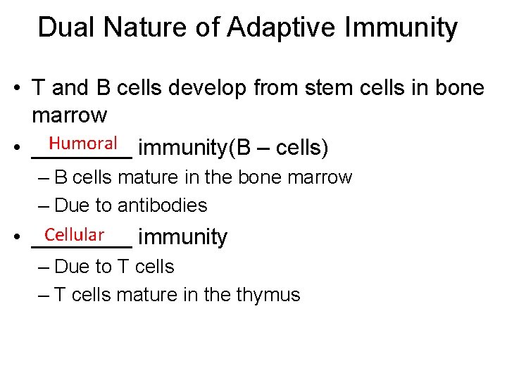 Dual Nature of Adaptive Immunity • T and B cells develop from stem cells