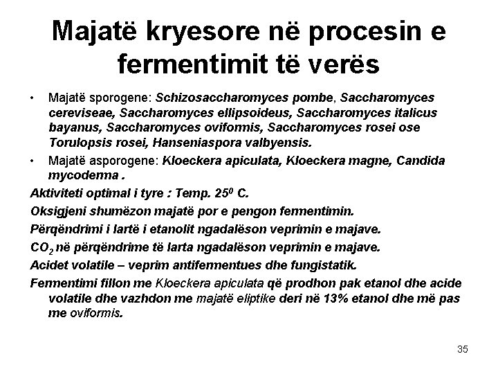 Majatë kryesore në procesin e fermentimit të verës • Majatë sporogene: Schizosaccharomyces pombe, Saccharomyces