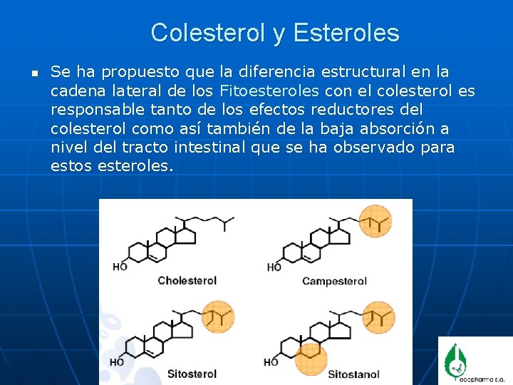 Colesterol y Esteroles n Se ha propuesto que la diferencia estructural en la cadena