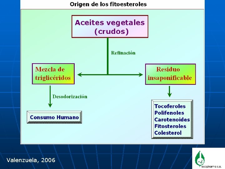 Valenzuela, 2006 