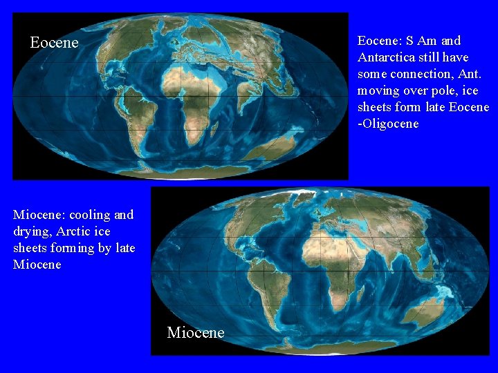 Eocene: S Am and Antarctica still have some connection, Ant. moving over pole, ice
