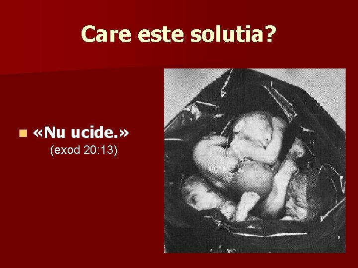 Care este solutia? n «Nu ucide. » (exod 20: 13) 