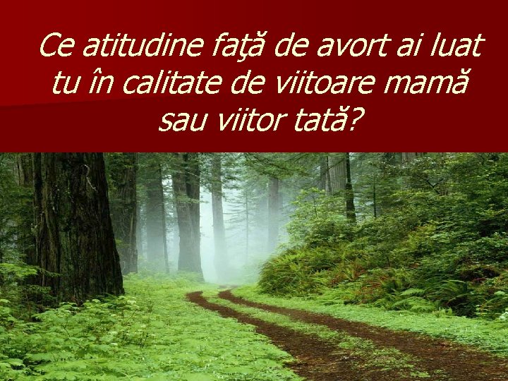 Ce atitudine faţă de avort ai luat tu în calitate de viitoare mamă sau