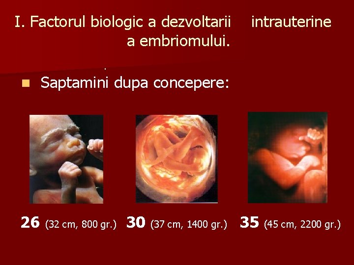 I. Factorul biologic a dezvoltarii a embriomului. intrauterine . n 26 Saptamini dupa concepere: